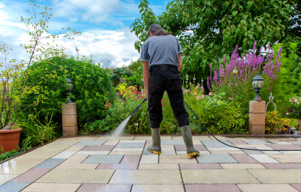 Best Driveway Pressure Washing  in Shafer, MN